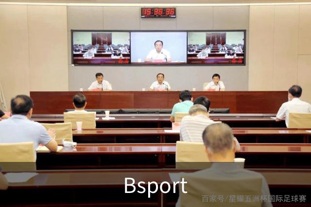 关于Bsport